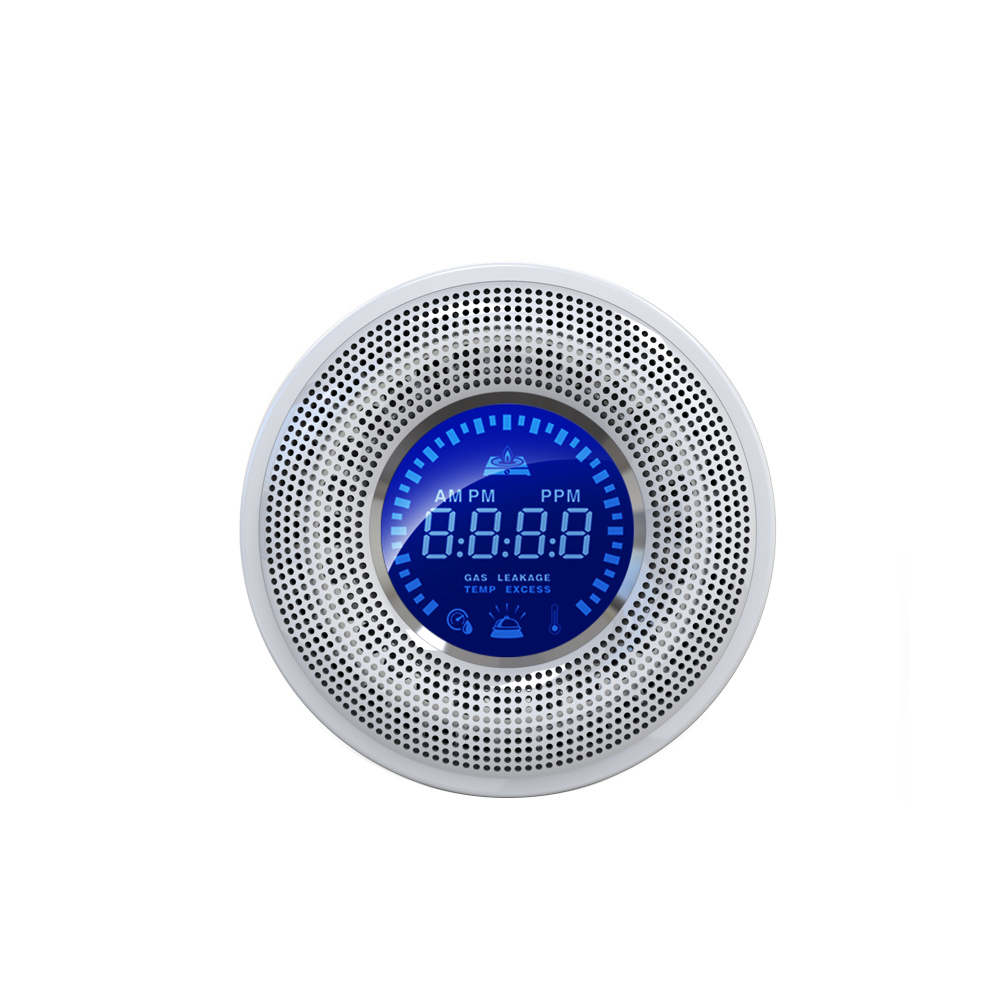 MD-2002R  Wireless Gas Detector